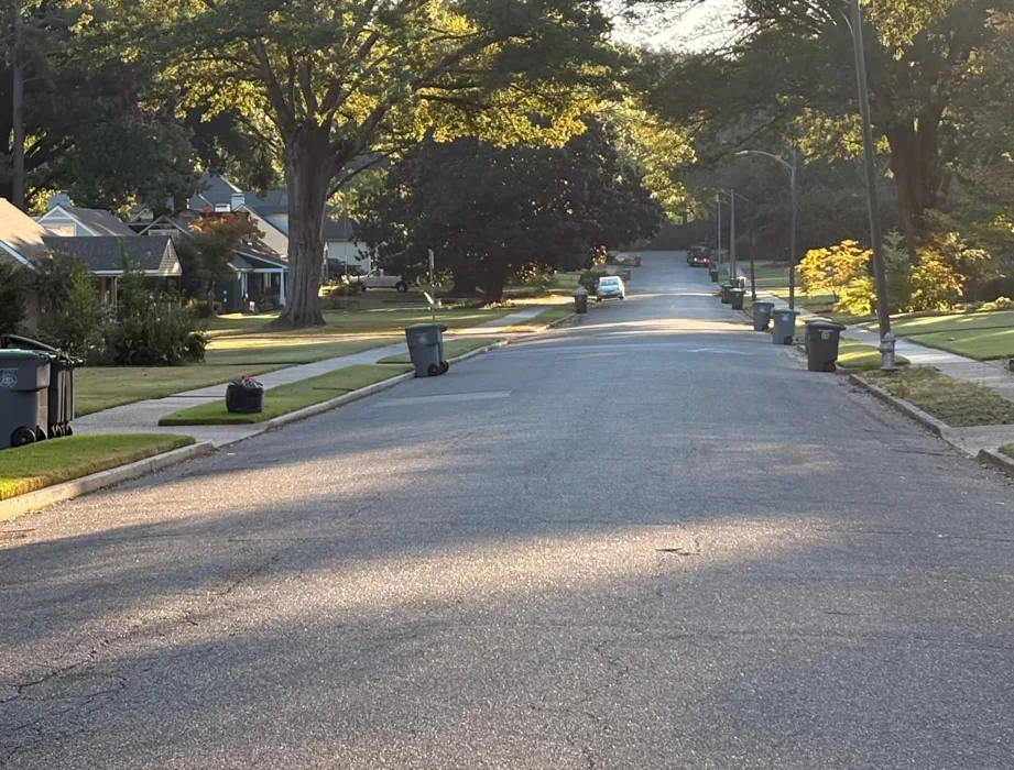 A tree-lined East Memphis residential street with rolling trash carts along the curb